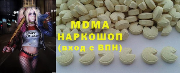 ECSTASY Бородино