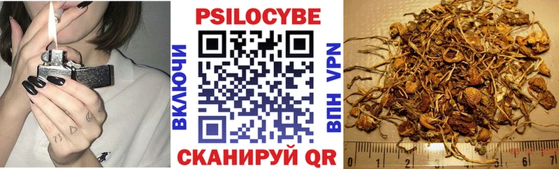 купить наркотики сайты  KRAKEN зеркало  Галлюциногенные грибы Psilocybe  Уссурийск 
